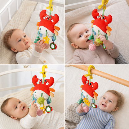 Crab Activity Toy with Pull Cord, Rattle & Teether for Babies