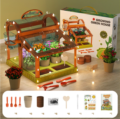 LED Acrylic Kids Greenhouse – Indoor Plant Growing Kit for Learning & Fun