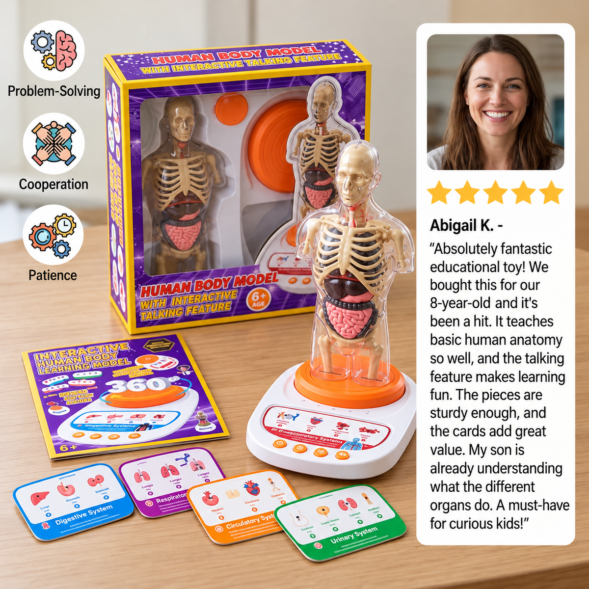 Interactive Talking Anatomy Model with Removable Organs & Audio-Guided Learning