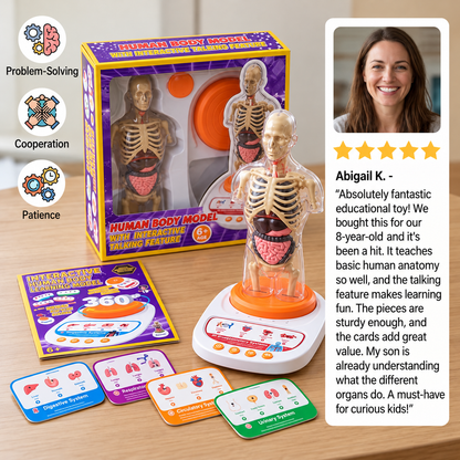 Interactive Talking Anatomy Model with Removable Organs & Audio-Guided Learning