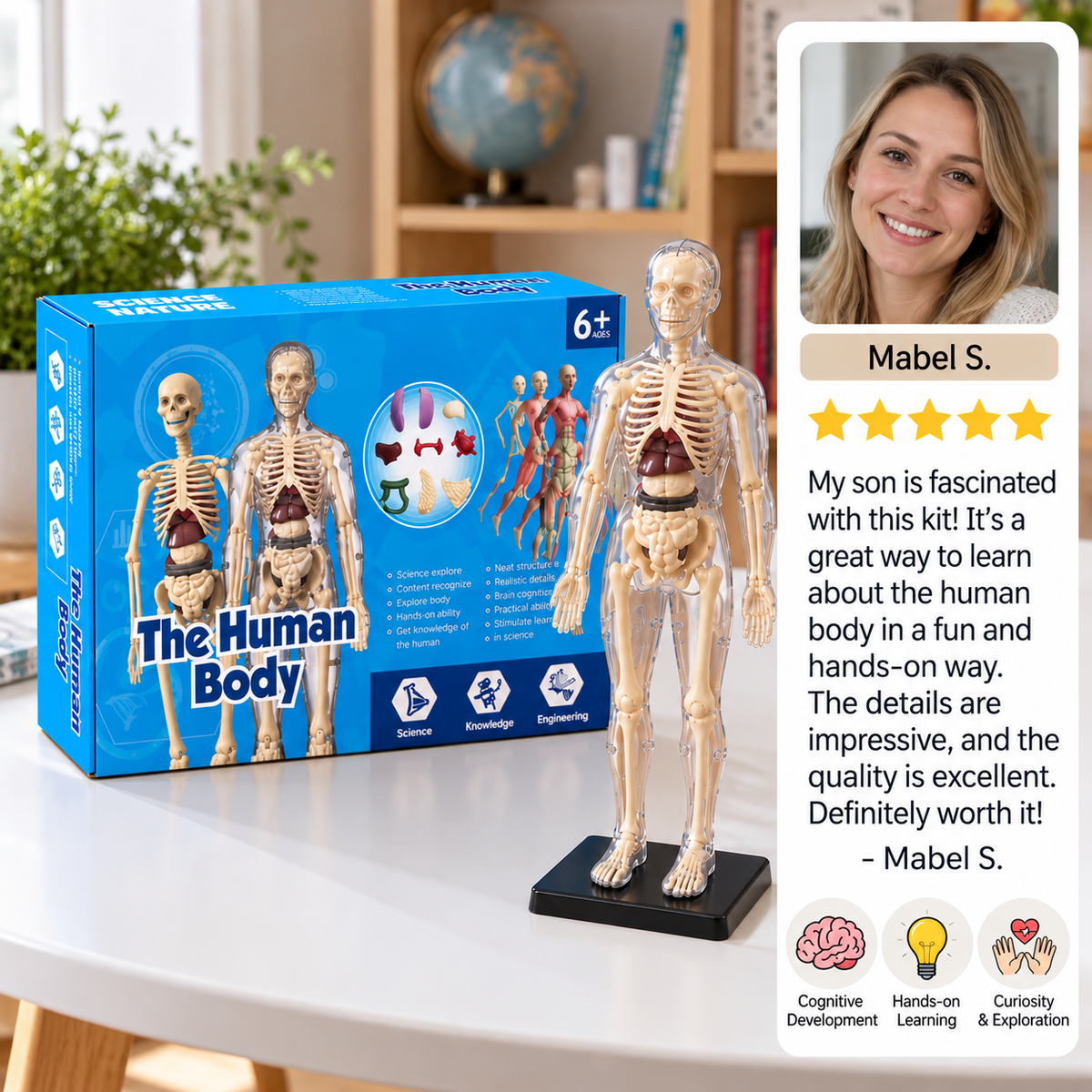 Human Body Anatomy STEM Learning Kit with Assemble-Your-Own Organ Model